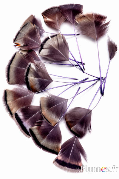Petali in piume - 6-8 x 3-4 cm - grigi-antracite metallizzato